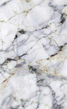 about-shape-1-1 about-shape-1-1